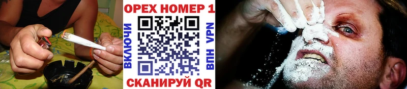 COCAIN FishScale  Купить где  Луга 