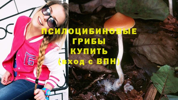 СК Зеленокумск