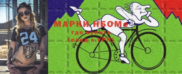 СК Зеленокумск