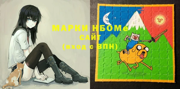 СК Зеленокумск