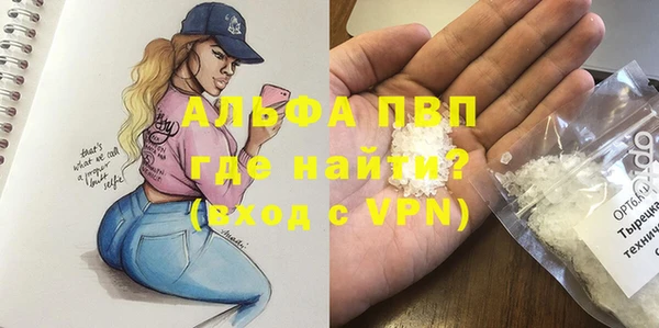 СК Зеленокумск
