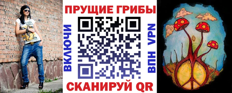 Псилоцибиновые грибы GOLDEN TEACHER  Купить где  Луга 